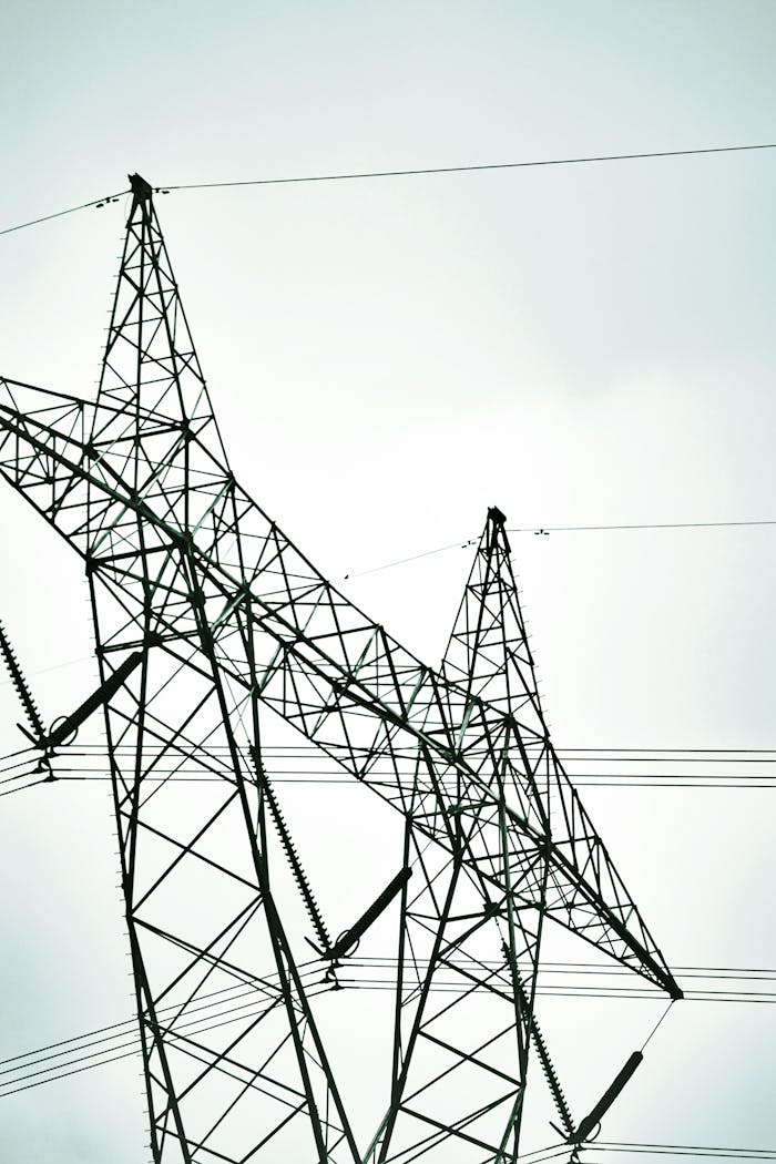 pexels photo 33971201.jpeg